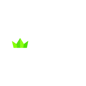 Redecan_White_Logo_1800 (22